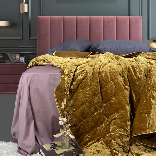 京彩 精品丝绒盖被 商品图0