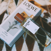 事后清晨男士香水 罗意威 Loewe  香水 清晨破晓缠绵 001【CDF】 商品缩略图1
