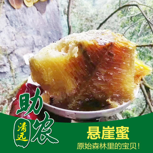 广东连南悬崖蜜（1斤装） 商品图0