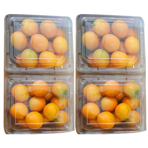 【8.8元2盒】盒金桔（1502159） 商品图0