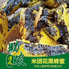 广东连南米团花黑蜂蜜（1斤） 商品缩略图0