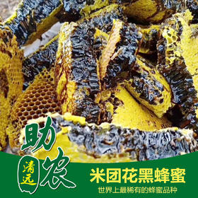 广东连南米团花黑蜂蜜（1斤）