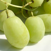 澳洲空运秋天酥  |  高级青提，皮薄甜心脆，牙齿一碰就爆炸，清新甜蜜蜜，没来得及洗就咔嚓嚓！ 商品缩略图6