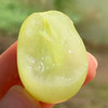澳洲空运秋天酥  |  高级青提，皮薄甜心脆，牙齿一碰就爆炸，清新甜蜜蜜，没来得及洗就咔嚓嚓！ 商品缩略图4