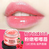 【两瓶装】肌肤之食植物天然滋养唇膜 补水保湿秋冬防干裂滋养 商品缩略图1