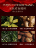 预售【荷兰进口 1滴高潮】春莺Joriole 私处合欢露10ml（独家专利） 商品缩略图2