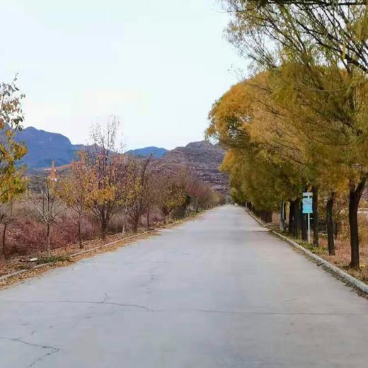 撒欢谷农场 住宿一晚（两大一小） 商品图4