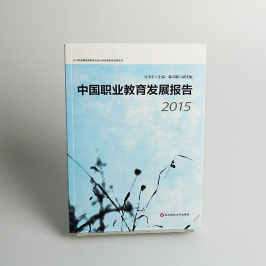 中国职业教育发展报告 2015  石伟平主编 发展报告培育项目 职业技术教育 学徒制办学  正版 华东师范大学出版社 商品图2