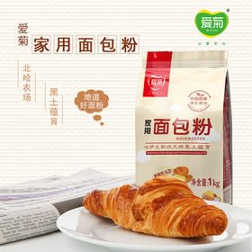 家庭面包粉1kg