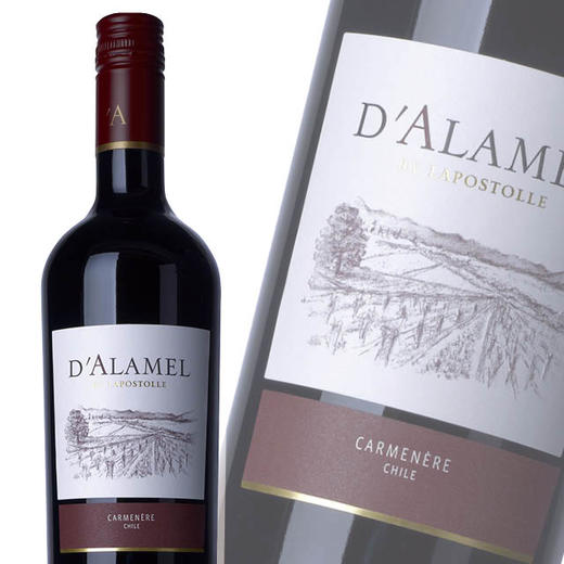 【整箱六瓶】黛拉美-卡门乐红葡萄酒 D`ALAMEL CARMENERE 2012 750ml*6 商品图1