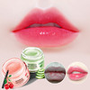 【两瓶装】肌肤之食植物天然滋养唇膜 补水保湿秋冬防干裂滋养 商品缩略图5