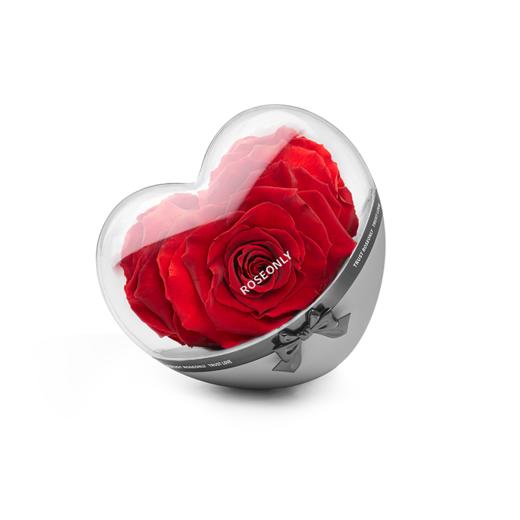 ROSEONLY 永生玫瑰-经典永续  心动心不倒翁礼盒 送女友礼物情人节礼品，情人节礼物 商品图2