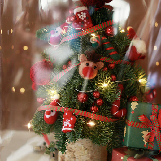 仅限10棵！手工圣诞树（真树叶）｜免费送圣诞盲盒 商品图4