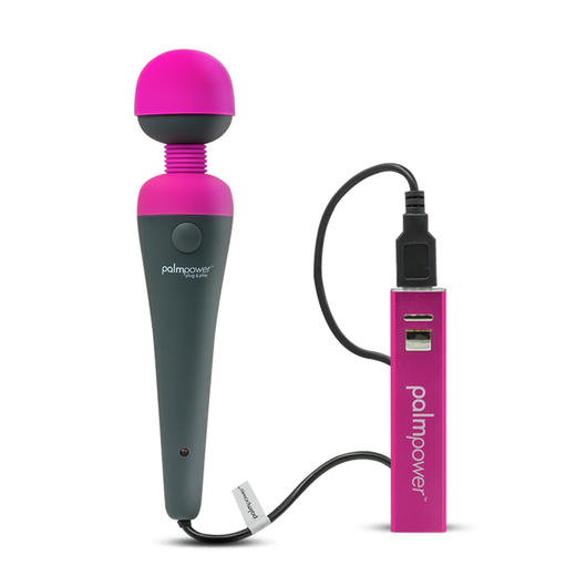 加拿大品牌BMS Palmpower按摩AV棒女用直插电源款震动棒 商品图1