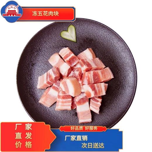 五肉联会员店 大红门 冻五花肉块10kg 商品图0