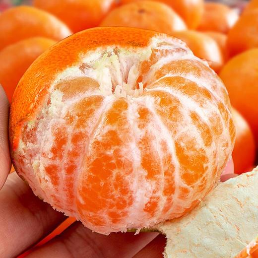 广西武鸣沃柑、现摘水果、鲜嫩易剥、它是橘柑中的小甜甜！ 商品图2