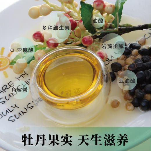 【常州馆】金膳狮牡丹籽油食用油正品牡丹籽油健康食用油 商品图2