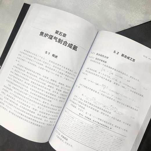 焦炉煤气利用技术 商品图5