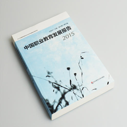 中国职业教育发展报告 2015  石伟平主编 发展报告培育项目 职业技术教育 学徒制办学  正版 华东师范大学出版社 商品图1