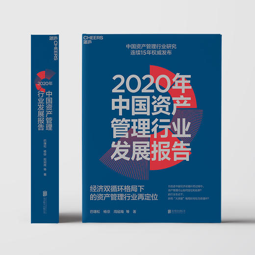 2020年中国资产管理行业发展报告 经济双循环格局下的资产管理行业再定 巴曙松 等著 金融与投资管理 经管励志书籍 商品图2