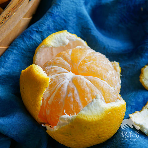 生态桔柚（极兔快递） | 合作生产 *Eco-Tangelo | Partner Production 商品图1