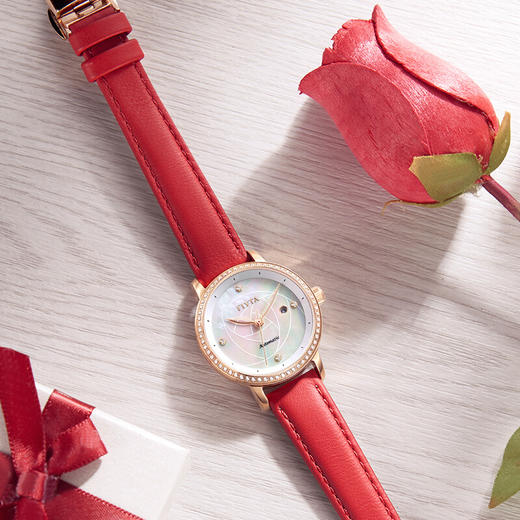 飞亚达手表女 花语系列精致小巧机械女士腕表钟表皮带 商品图5