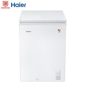 海尔（Haier）冷柜BC/BD-100HDB 商品图0