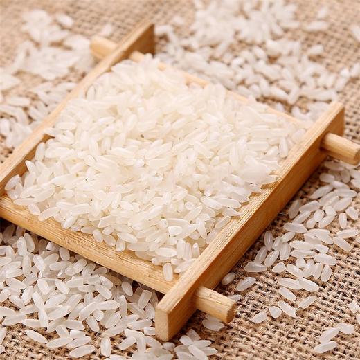 朝稻夕谷龙门稻香米(5公斤)