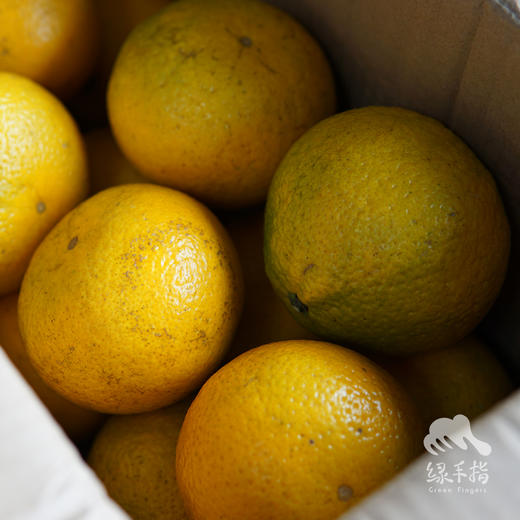 生态桔柚（极兔快递） | 合作生产 *Eco-Tangelo | Partner Production 商品图3