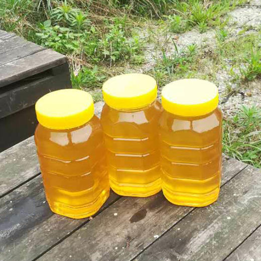清新龙颈百花蜜蜂蜜1斤装 商品图3