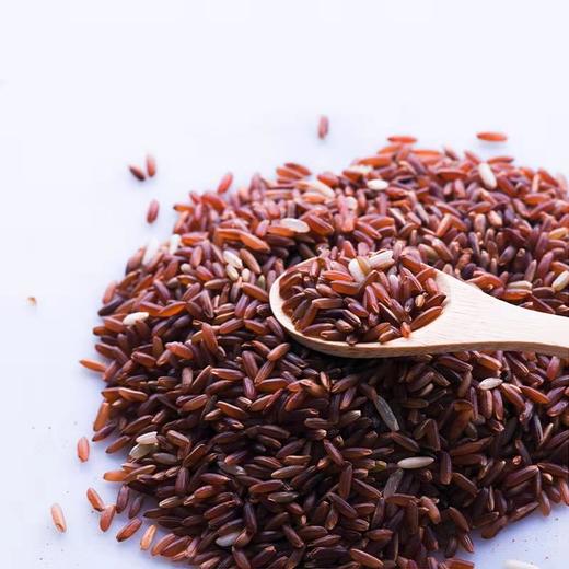 丨生态丨五色糙米9斤 黑、红、紫、黄、白 糙米 熬粥米 料理机米糊收到记得冰箱冷藏 商品图3