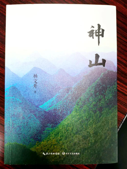 杨文升·神山 商品图4