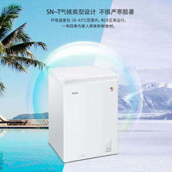 海尔（Haier）冷柜BC/BD-100HDB 商品图1