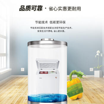 海尔（Haier）冷柜BC/BD-100HDB 商品图2