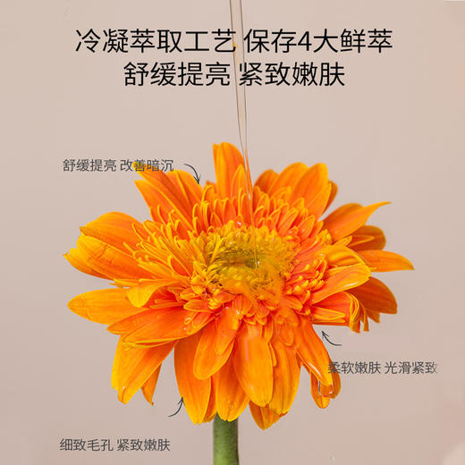 玫黛琳金盏花水乳套装补水保湿滋润肌底呵护肌肤水润细致水乳组合 商品图4