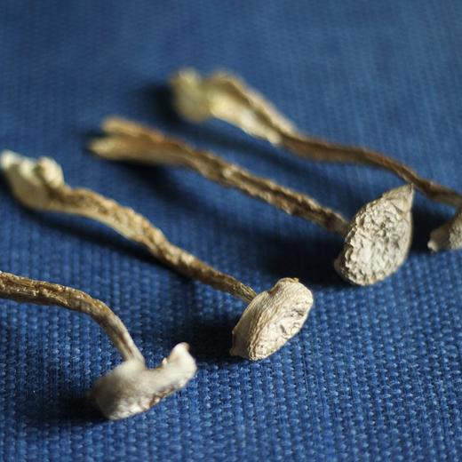 特级鹿茸菇仔，天然不熏硫 营养丰富，脆嫩鲜美 商品图1