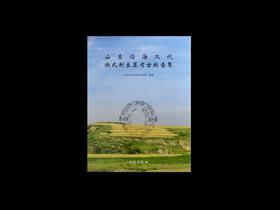 山东沿海汉代墩式封土墓考古报告集