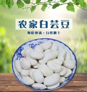 云南大理剑川 农家白芸豆多种规格