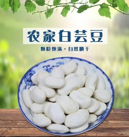 云南大理剑川 农家白芸豆多种规格 商品图0