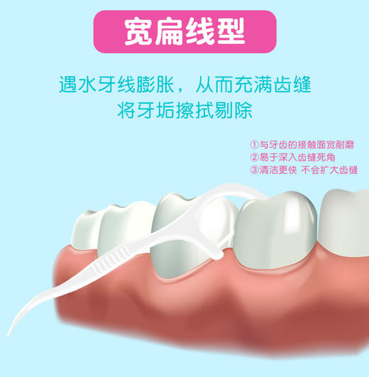 丹特博牙线棒 100支装 家庭装 商品图1