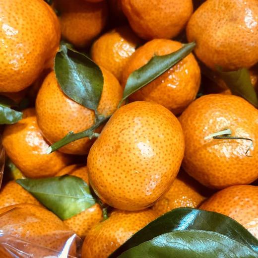 正宗沙糖桔 中果 筐装5斤 商品图1