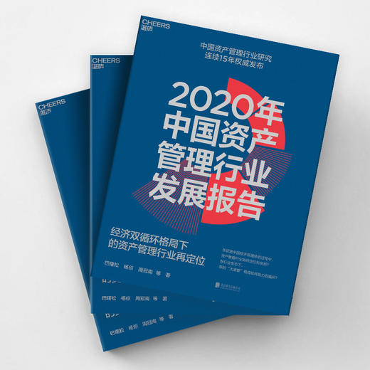 2020年中国资产管理行业发展报告 经济双循环格局下的资产管理行业再定 巴曙松 等著 金融与投资管理 经管励志书籍 商品图3