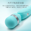 加拿大品牌BMS Pillow Talk 炽眠女用震动AV棒 商品缩略图4