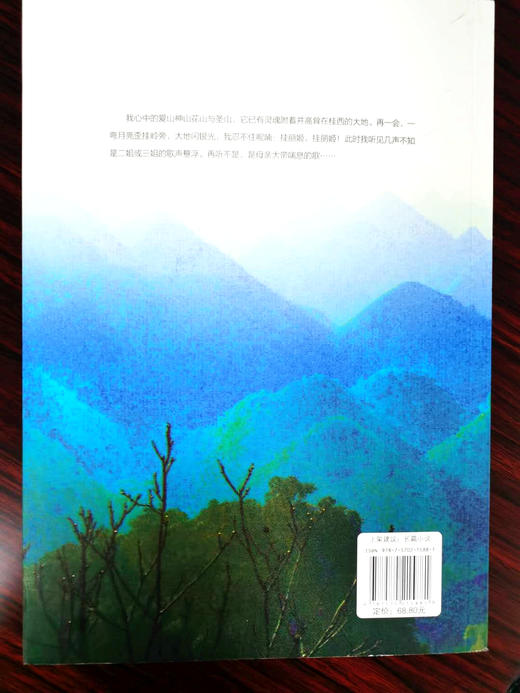 杨文升·神山 商品图6