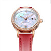 飞亚达手表女 花语系列精致小巧机械女士腕表钟表皮带 商品缩略图1