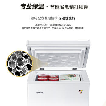 海尔（Haier）冷柜BC/BD-100HDB 商品图3