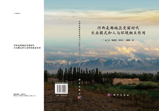 河西走廊地区史前时代生业模式和人与环境相互作用 商品图3