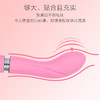 加拿大品牌BMS Pillow Talk Sassy三生女用弯曲糕潮按摩震动棒 商品缩略图4