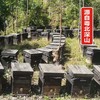 清新龙颈百花蜜蜂蜜1斤装 商品缩略图4