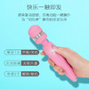 加拿大品牌BMS Pillow Talk 炽眠女用震动AV棒 商品缩略图0